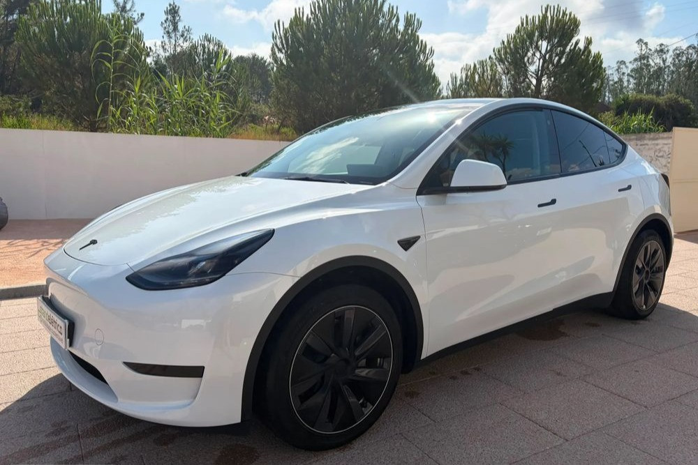 Tesla Model Y Standard